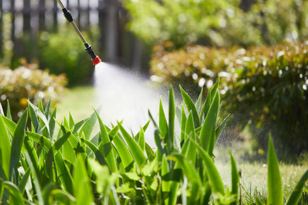 Tamper-Resistant Bait Stations for Rodents in Point