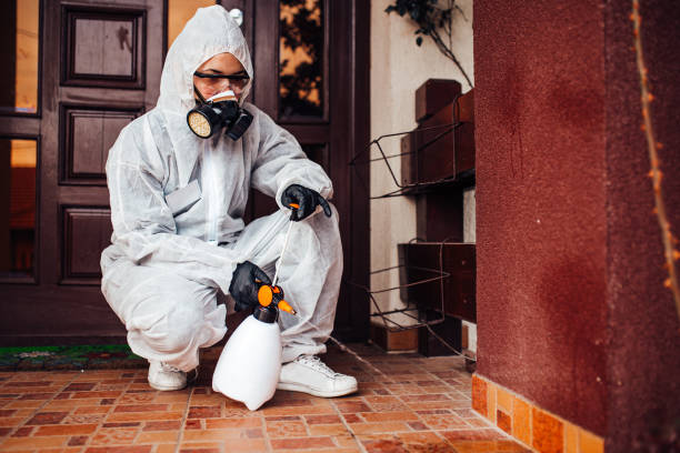 Attic and Crawl Space Rodent Treatment in Point